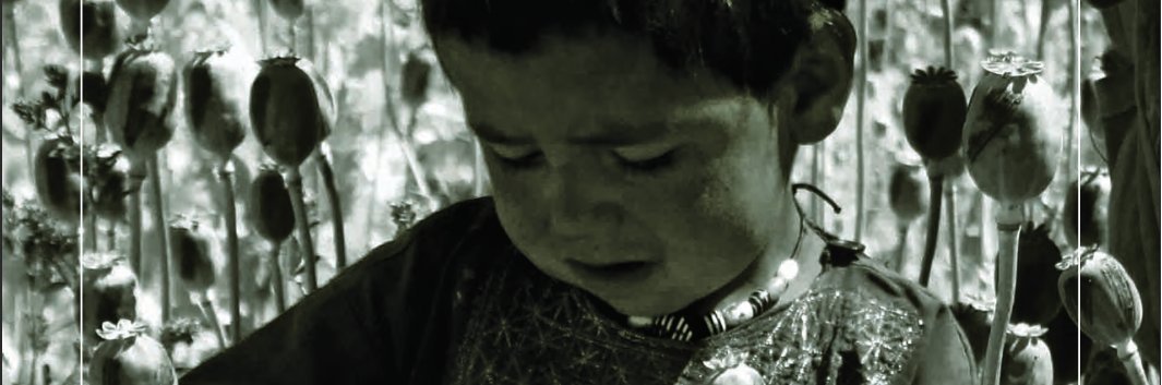 Nipped in the bud: Afghanistan reconstruction agency facing crippling staffing cuts